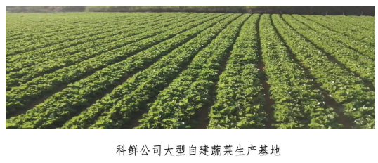 科鮮O2O手機(jī)菜籃子介紹